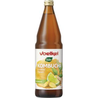 Kombucha Limette & Ingwer