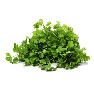 Petersilie, glatt