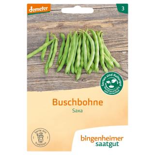 Buschbohne Saxa