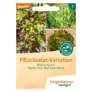 Pflücksalat-Variation