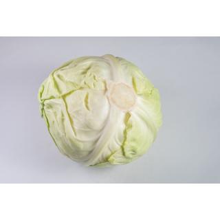 Weißkohl