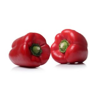 Roter Paprika
