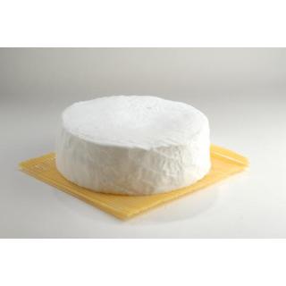 Merlin Ziege Provence