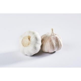 Knoblauch