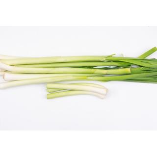 Lauch / Porree