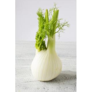 Fenchel