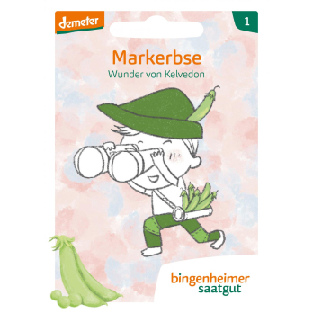Erbse Wunder von Kelvedon