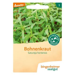 Bohnenkraut Einjährig