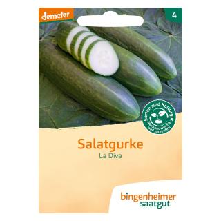Salatgurke La Diva