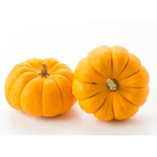 Hokkaido Kürbis
