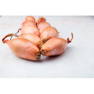Schalotten, lose