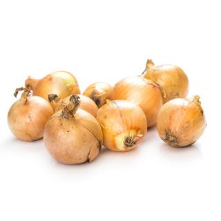 Zwiebeln gelb