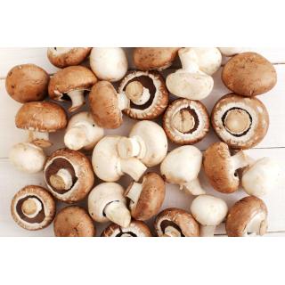Champignons