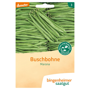 Buschbohne Marona