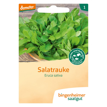 Salatrauke Rucola