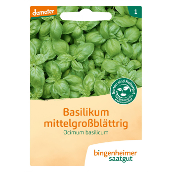 Basilikum Mittelgroß