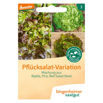 Pflücksalat-Variation