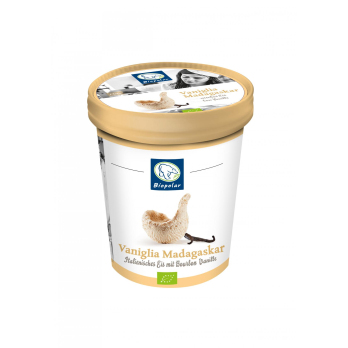 Vaniglia Madagaskar
