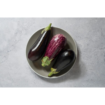 Aubergine