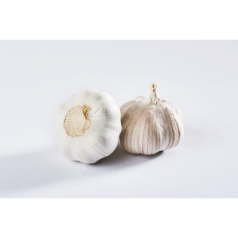 Knoblauch