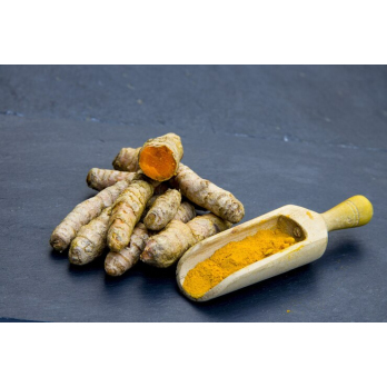 Kurkuma frisch