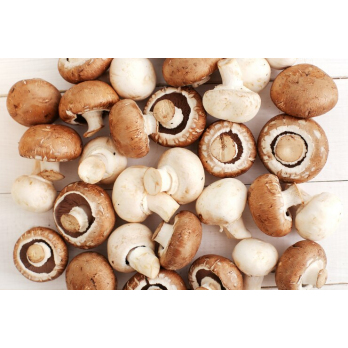 Champignons